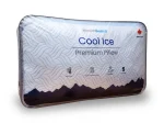 Health Guard Cool Ice Pillow