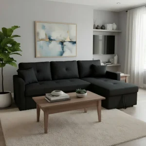 Pull-Out Sectional Sofa Bed